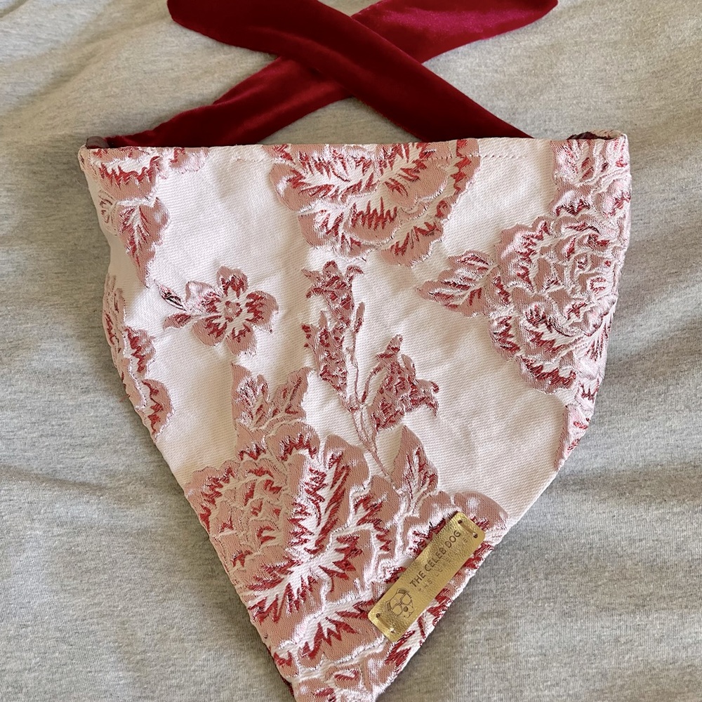 Dog Fashion Bandana